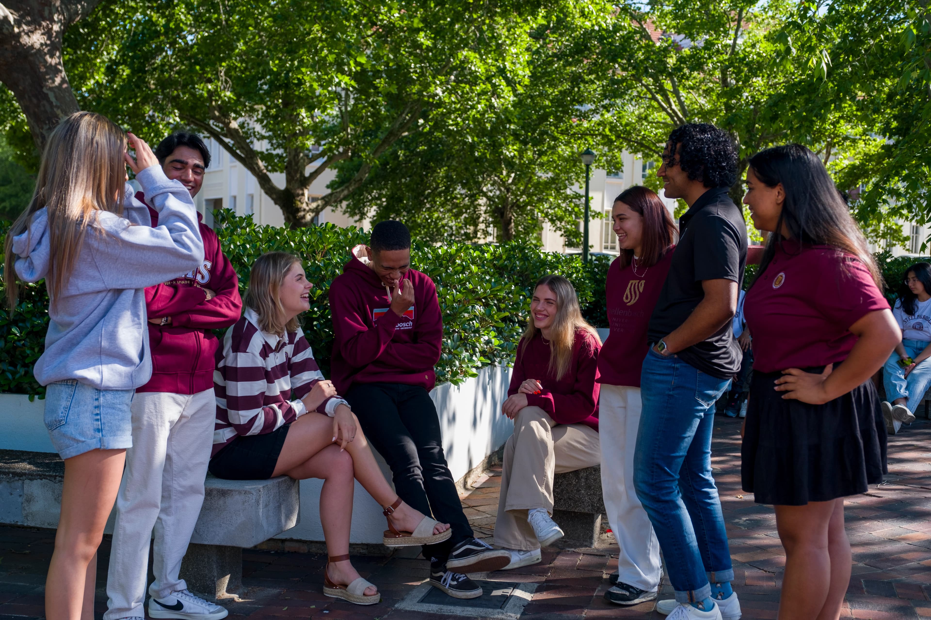 Honours students collaborating